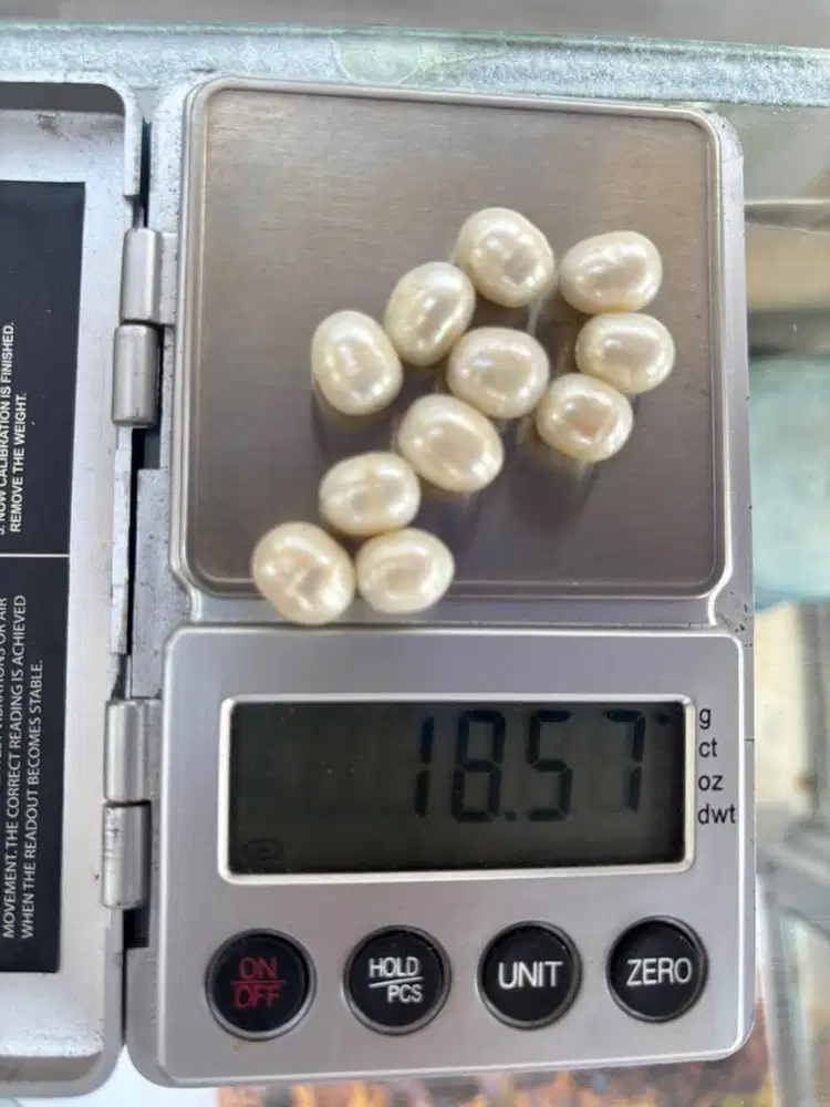 Jual mutiara laut