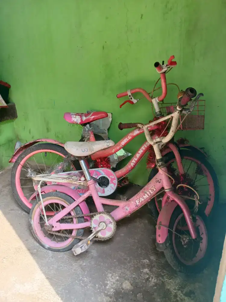Jual sepeda anak bekas murah