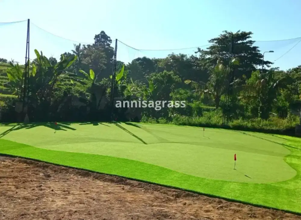 Rumput Sintetis Murah : Tipe Golf