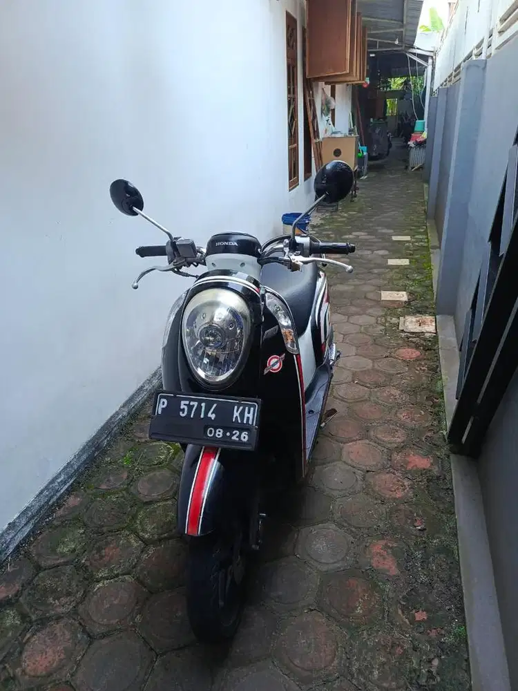 scoopy 2016 plat P