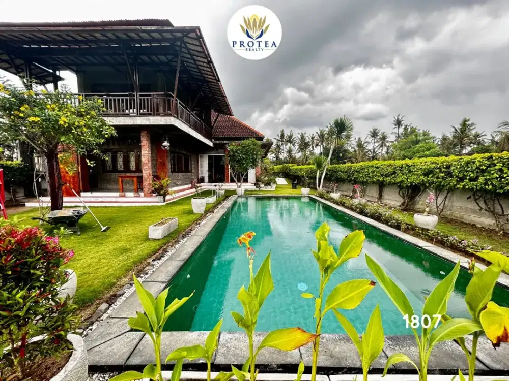 RUMAH BERGAYA TRADISIONAL PEMANDANGAN SAWAH DI BALI