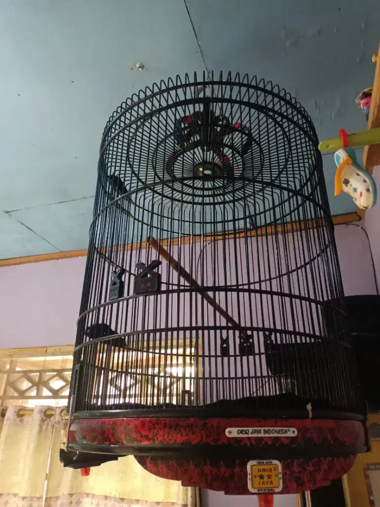 Kandang murai oriq no 2 mulus