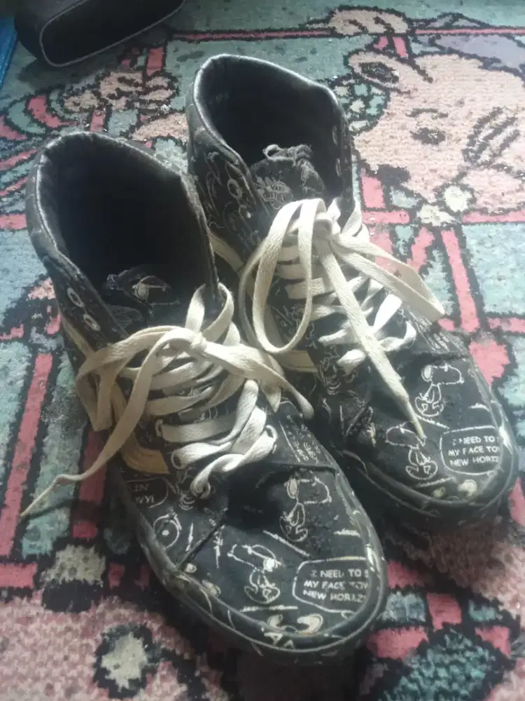 VANS SK8 HI PEANUTS