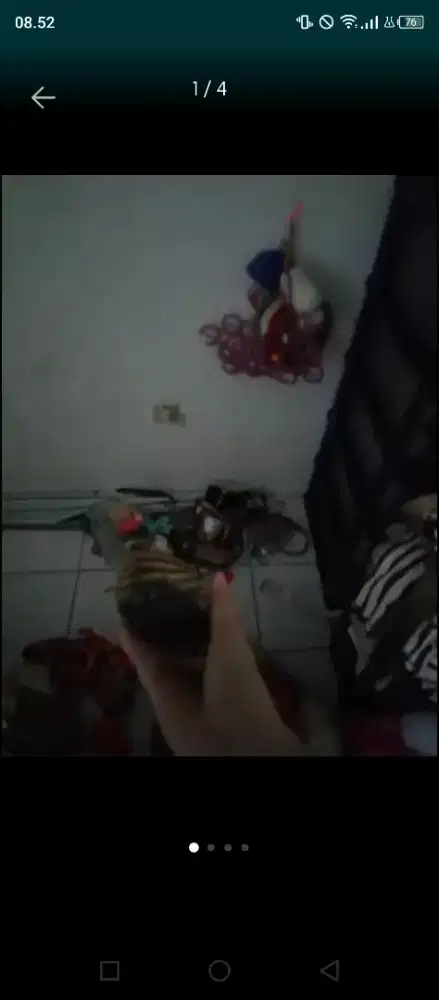 Pajangan bebek bahan kayu