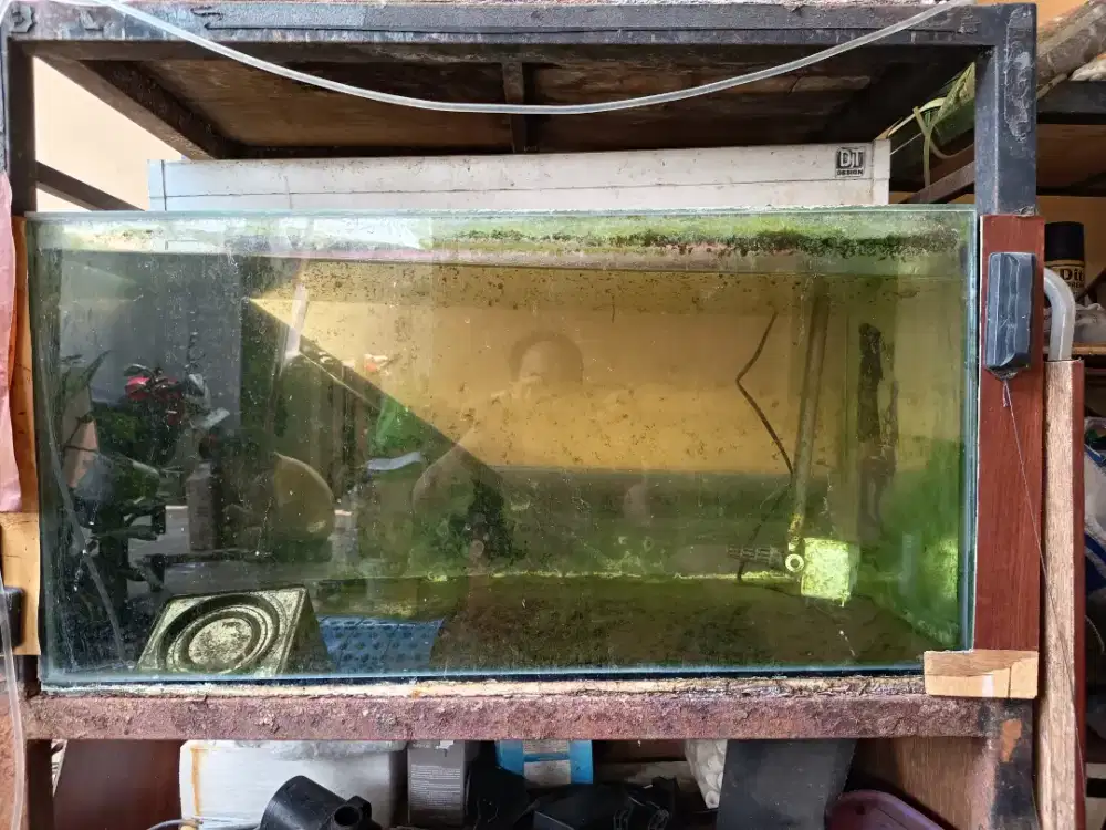 Aquarium 80x40x40