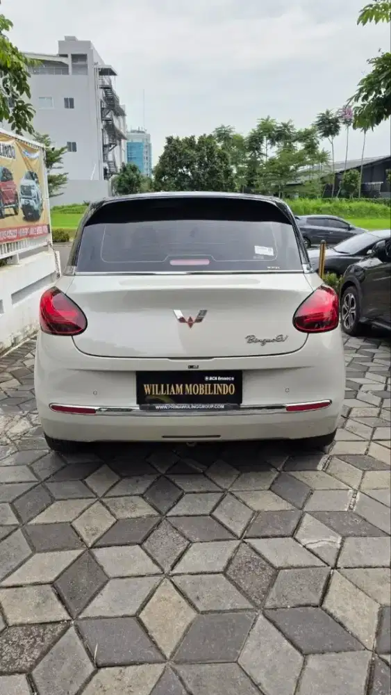 Binggo premium 2024