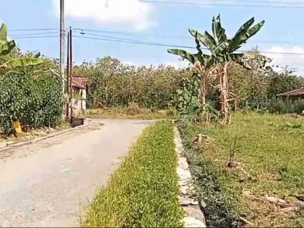 Dijual pekarangan di plesan nguter sukoharjo