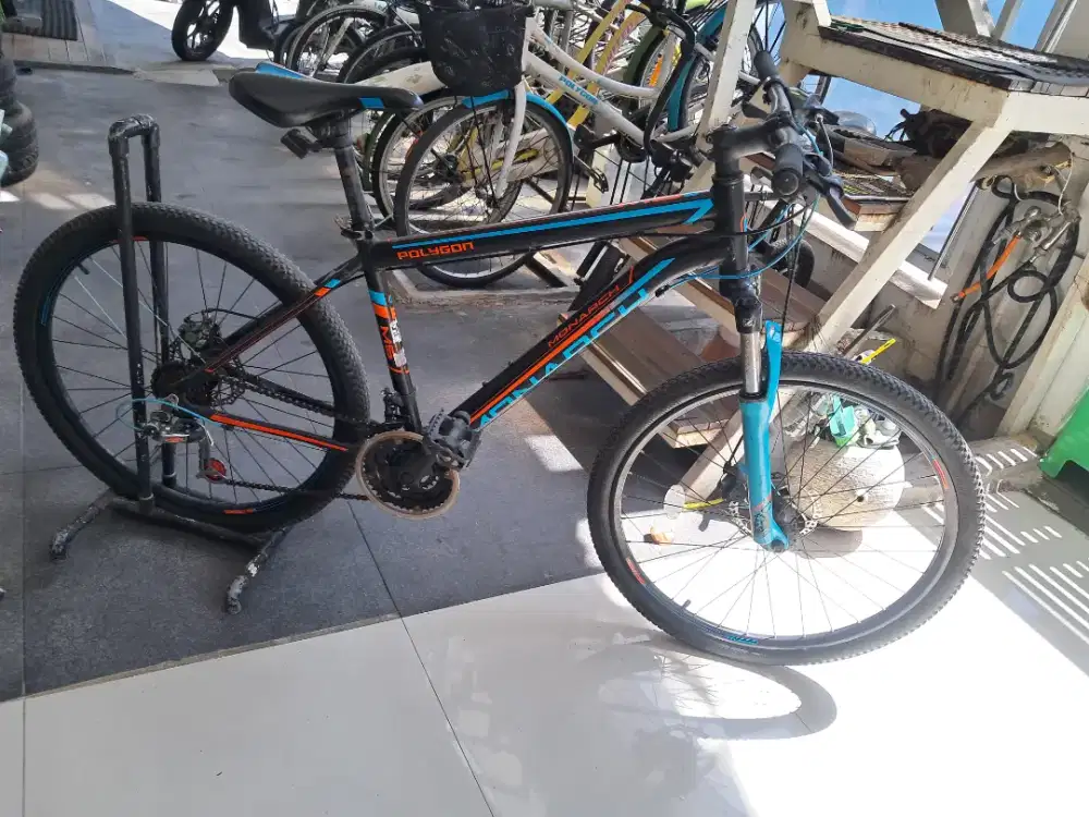 Polygon Monarch M5