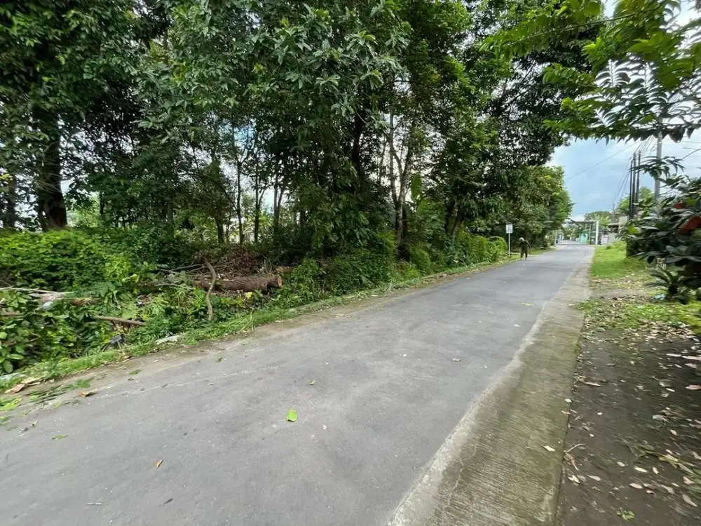 Dijual Tanah Jogja di Tirtomartani Dekat Candi di Kalasan