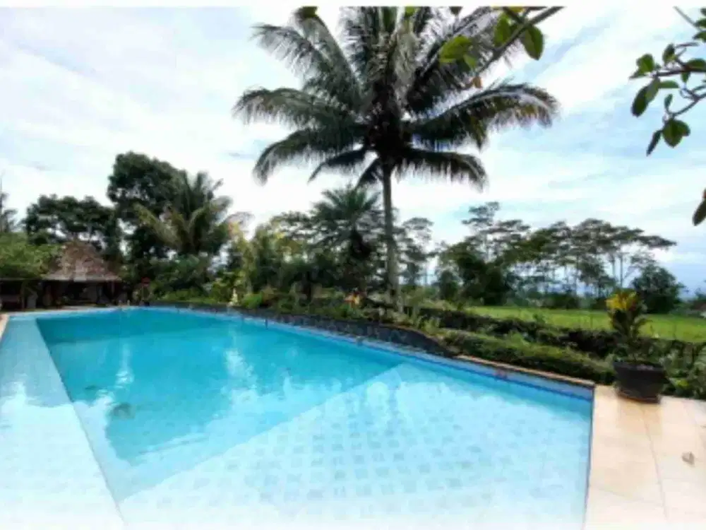 dijual villa+resto di magelang jateng