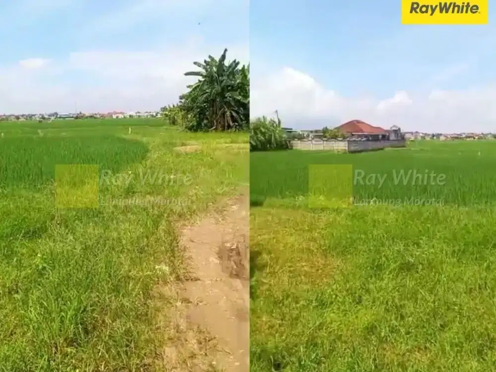 Dijual Tanah di Sukarame, Bandar Lampung (Kode : AY 3531)