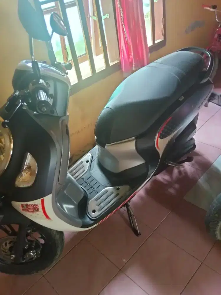 Honda Scoopy perfect