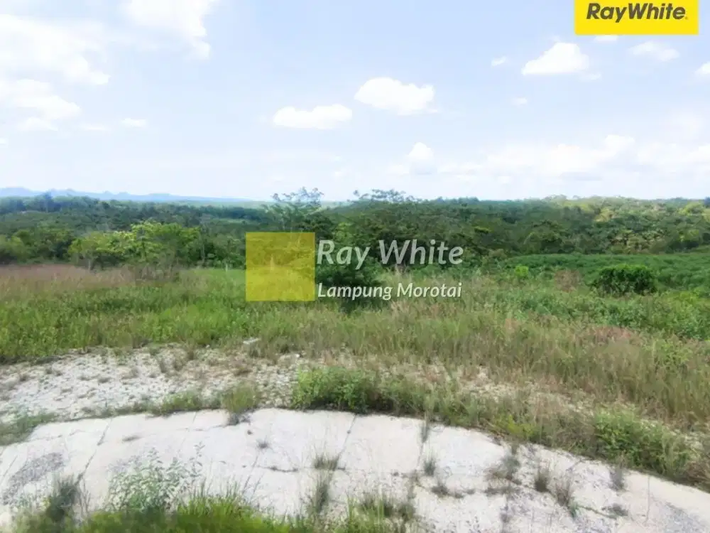 Dijual Tanah Di Way Kanan, Lampung Utara (Kode : Ay 3533)