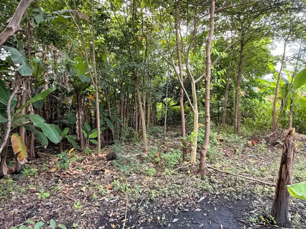 Tanah Siap Bangun Lokasi di Desa Gelam Candi Sidoarjo