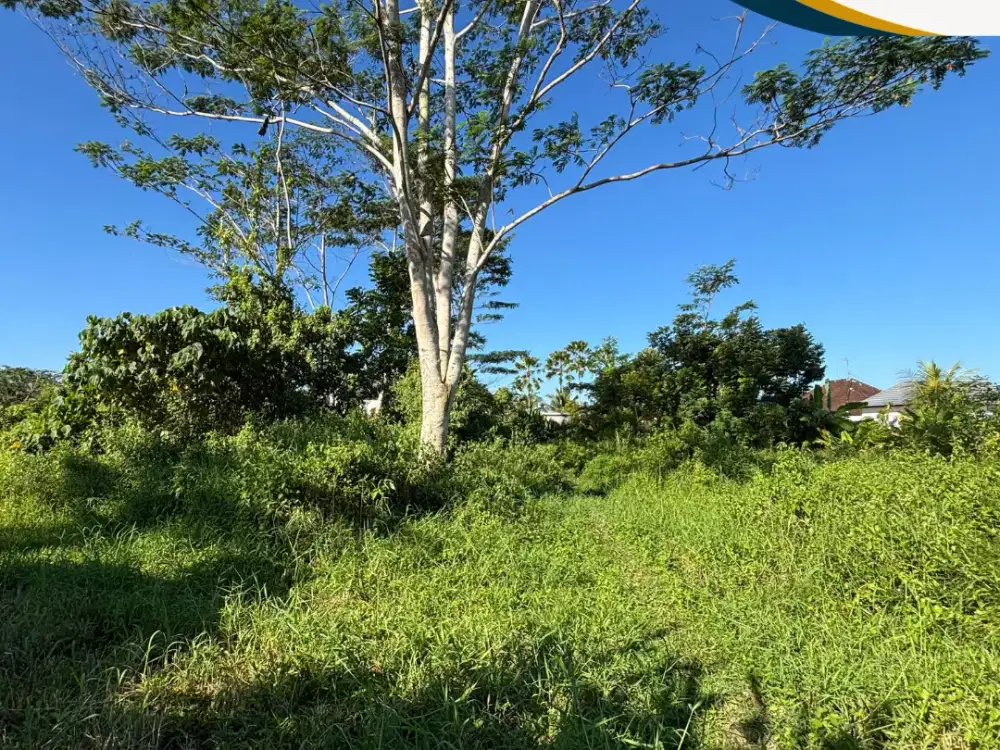 Dijual Tanah Akses Strategis Siap Bangun Area Ubud