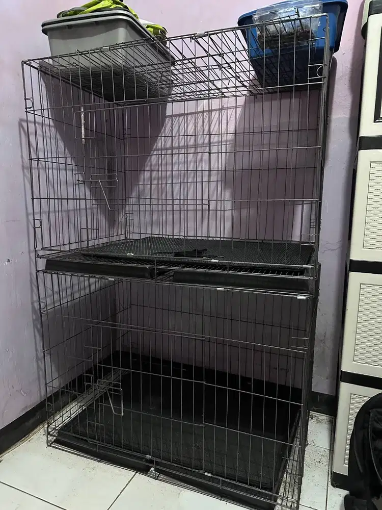 Kandang Kucing Jumbo