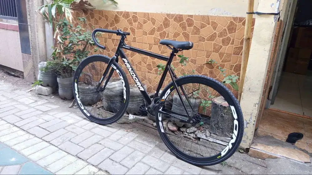 fixie Pandora second