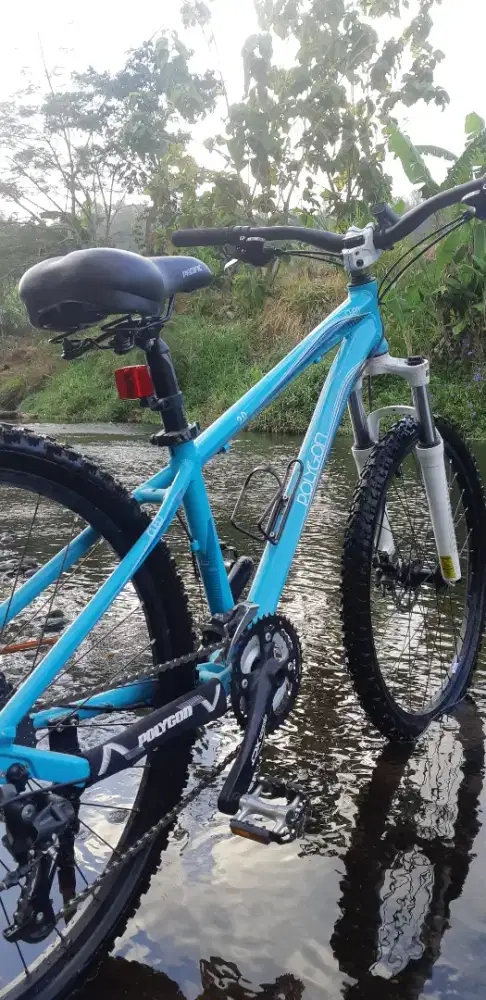 Polygon cleo  mulus terawat
