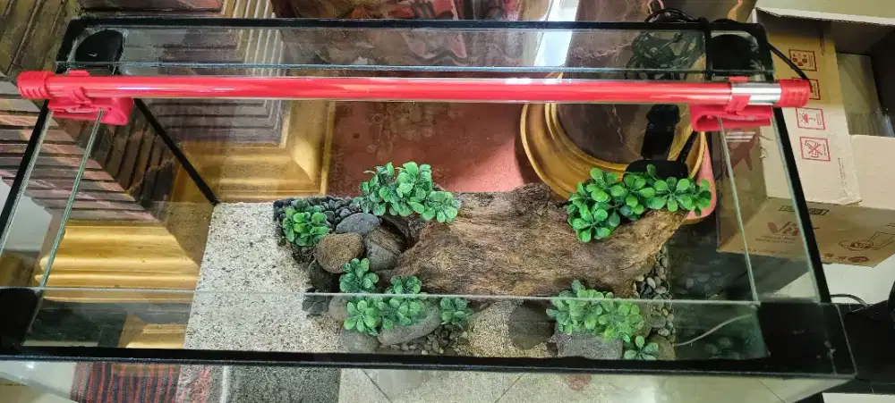 Aquarium full set new