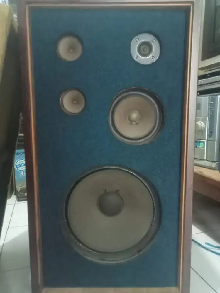 Vintage speaker 10 inchi 5 way