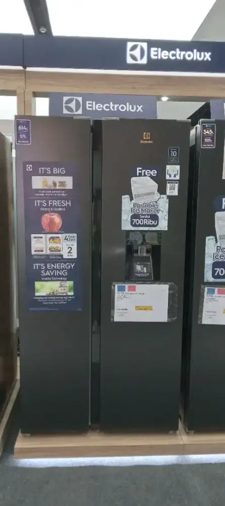 Electrolux ESE5740B - B REFRIGERATOR