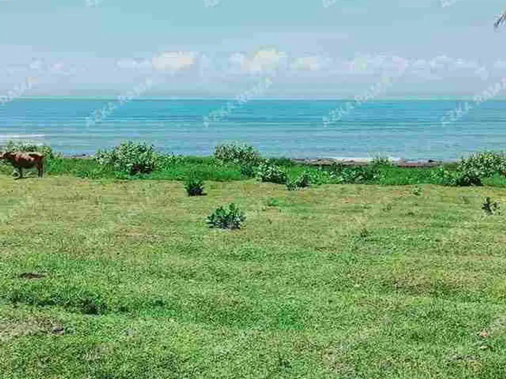 TANAH LOS PANTAI 2.4 HEKTAR DI CUPEL JEMBRANA