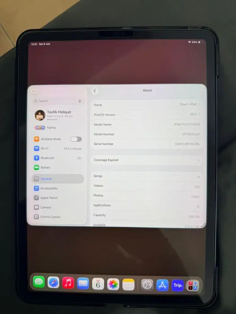 iPad pro (11 inch) 256gb