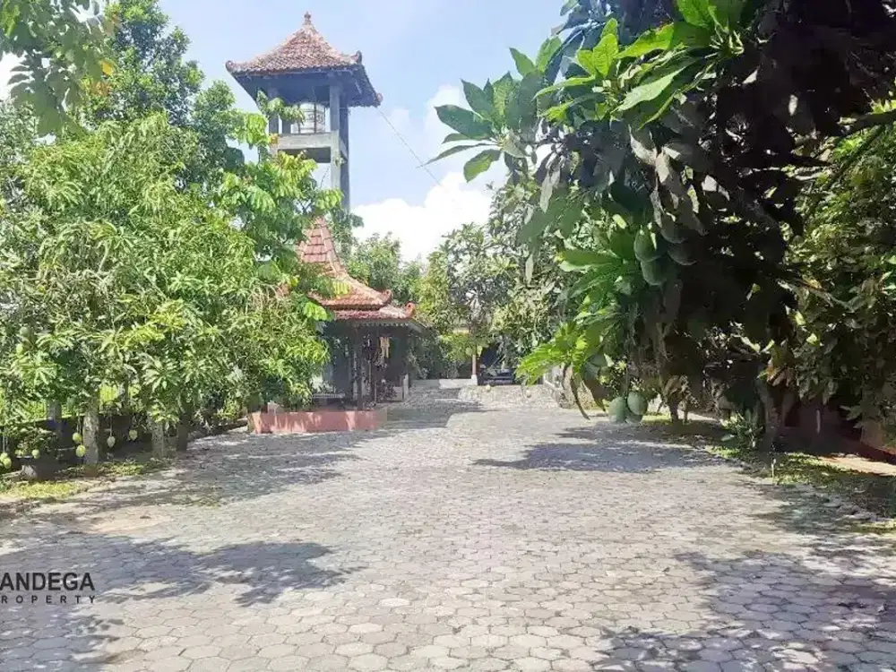 Homestay Furnished Jl. Parangtritis Km 9,5 Sewon, Bantul Dekat ISI, Pasar Seni Gabusan, Rumah Budaya Tembi