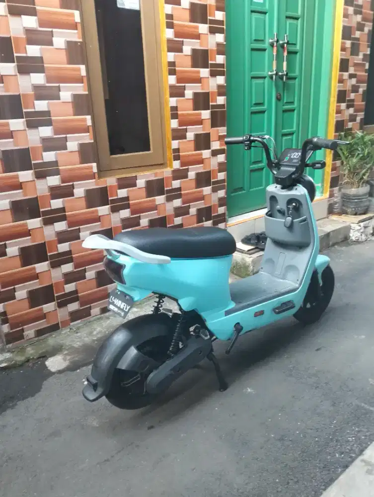 Sepeda listrik uwinfly d8