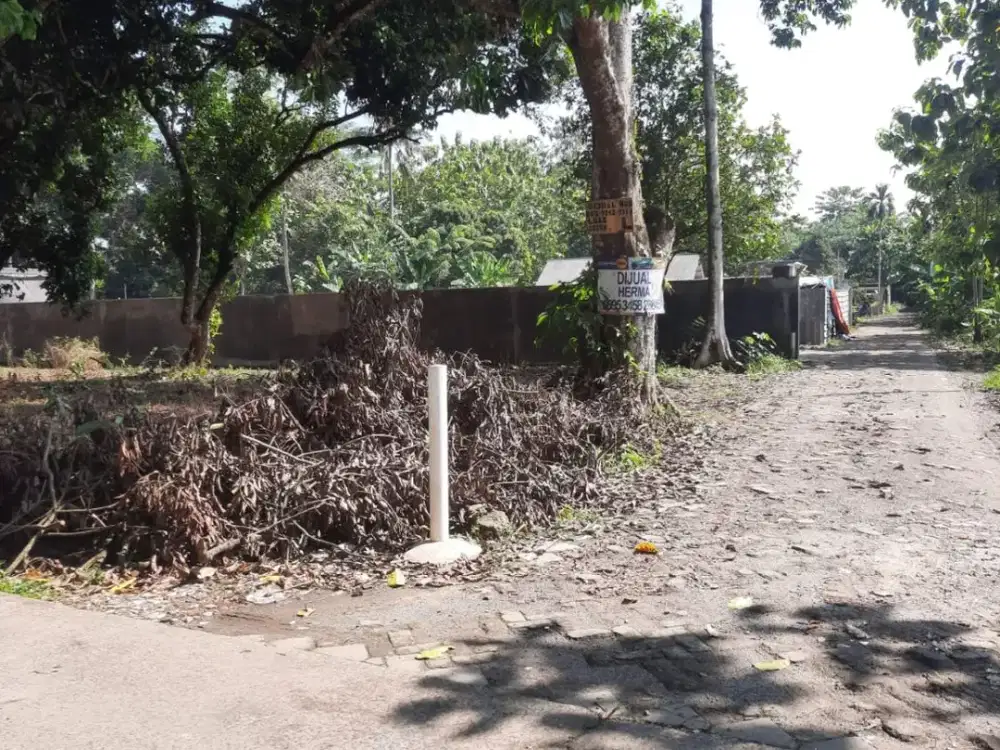 DI JUAL TANAH DI CISAUK  DESA DANDANG KAB . TANGERANG