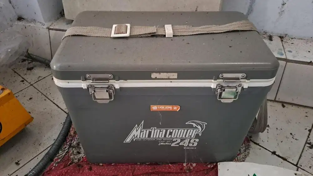Cooler box lionstar 24s