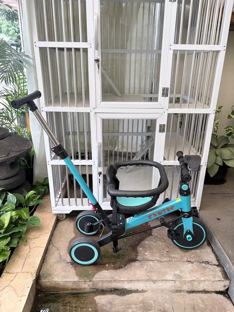 Push Bike Sepeda Anak [BARU 1x PAKAI]