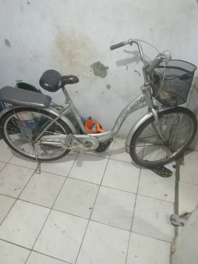 Sepeda keranjang deawasa siap gowes