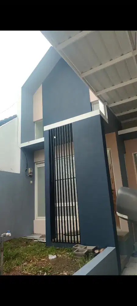Cat malang tembok