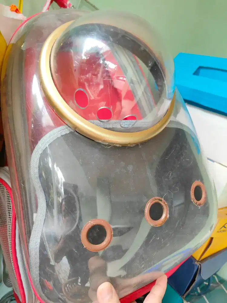 Tas ransel untuk kucing atau anjing