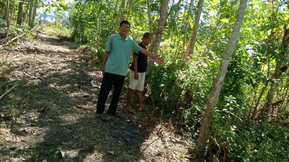 Jual tanah di Cerme Panjatan kp