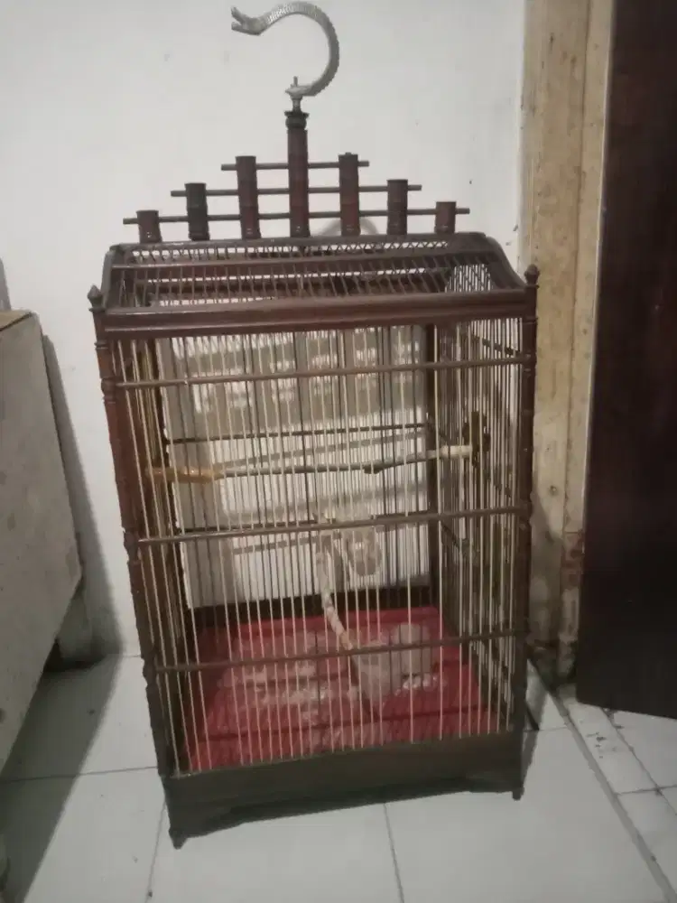 Sangkar burung no. 1 masih bagus