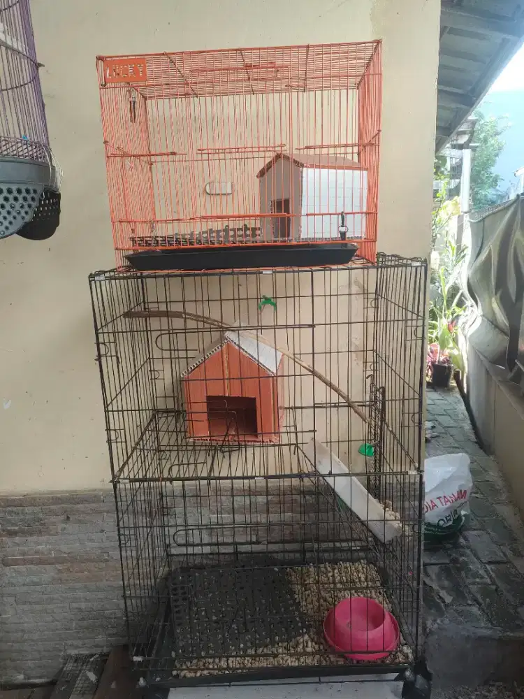 Kandang Burung & Kucing