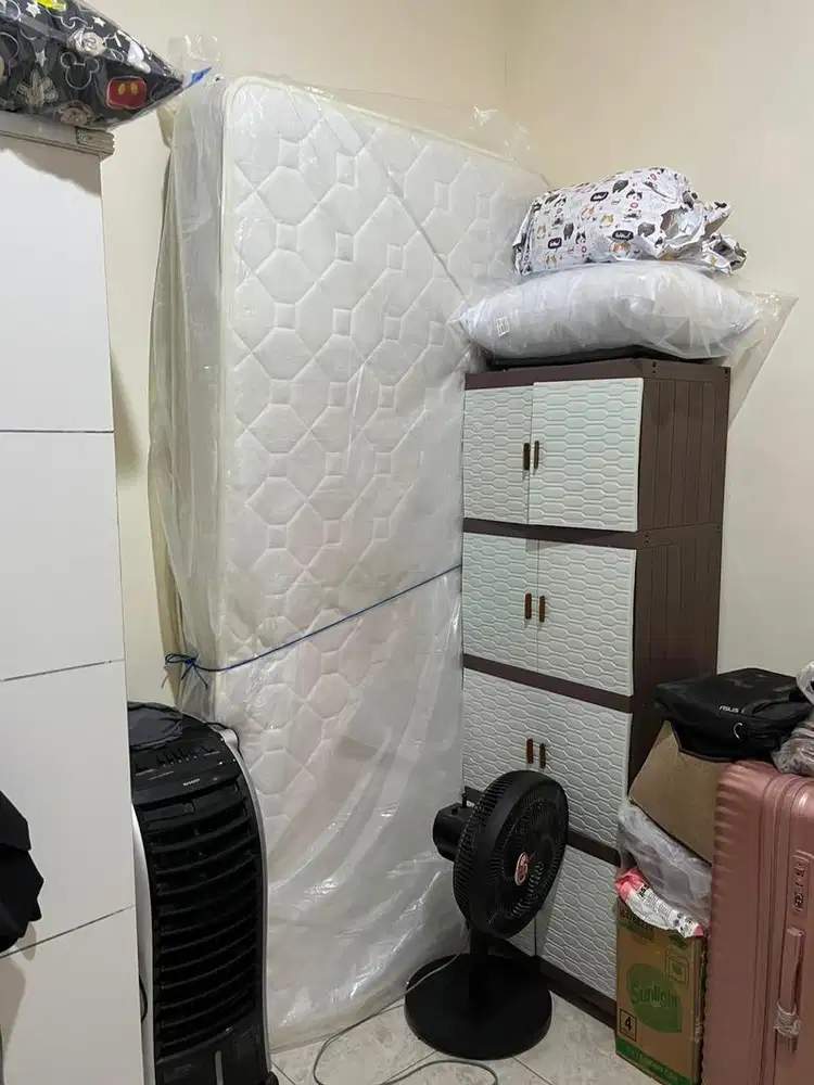 kasur springbed zenus