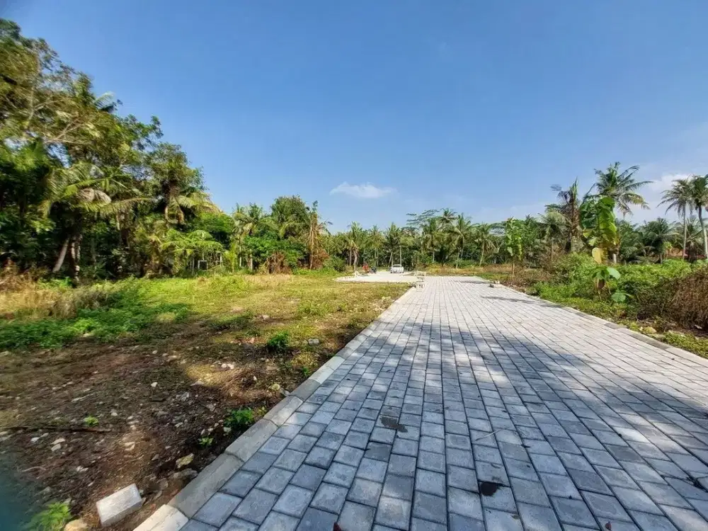 Dekat Stasiun Wates Dijual Tanah Jogja di Tawangsari
