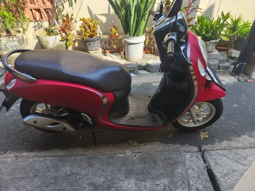 Motor Scoopy 2021