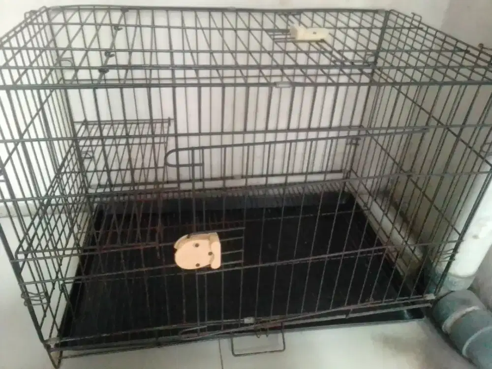 Kandang kucing besi batangan besar