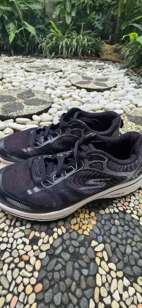 Skecher Gorun original