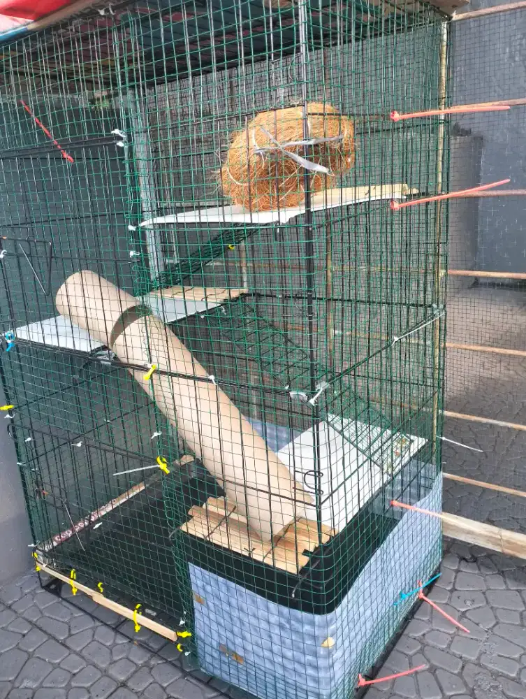 Jua kandang Kucing /Kelinci / burung / hamster  Jumbo