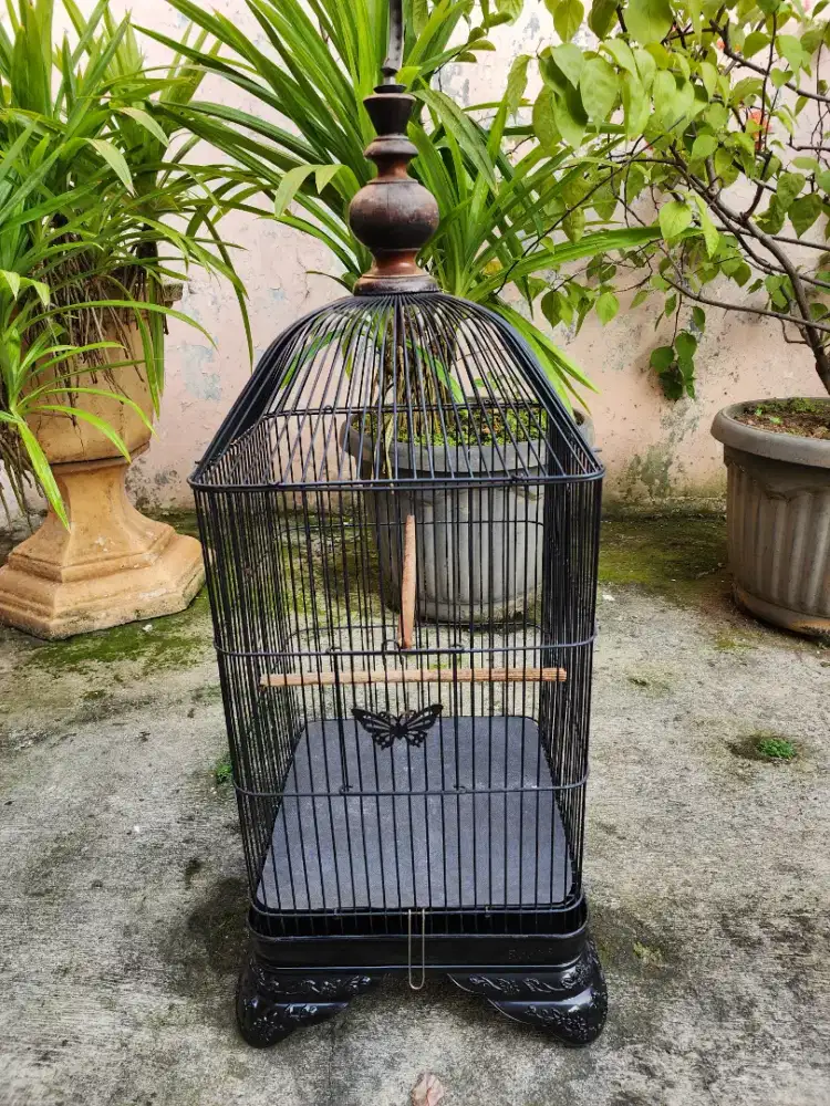 Sangkar lovebird oval murah