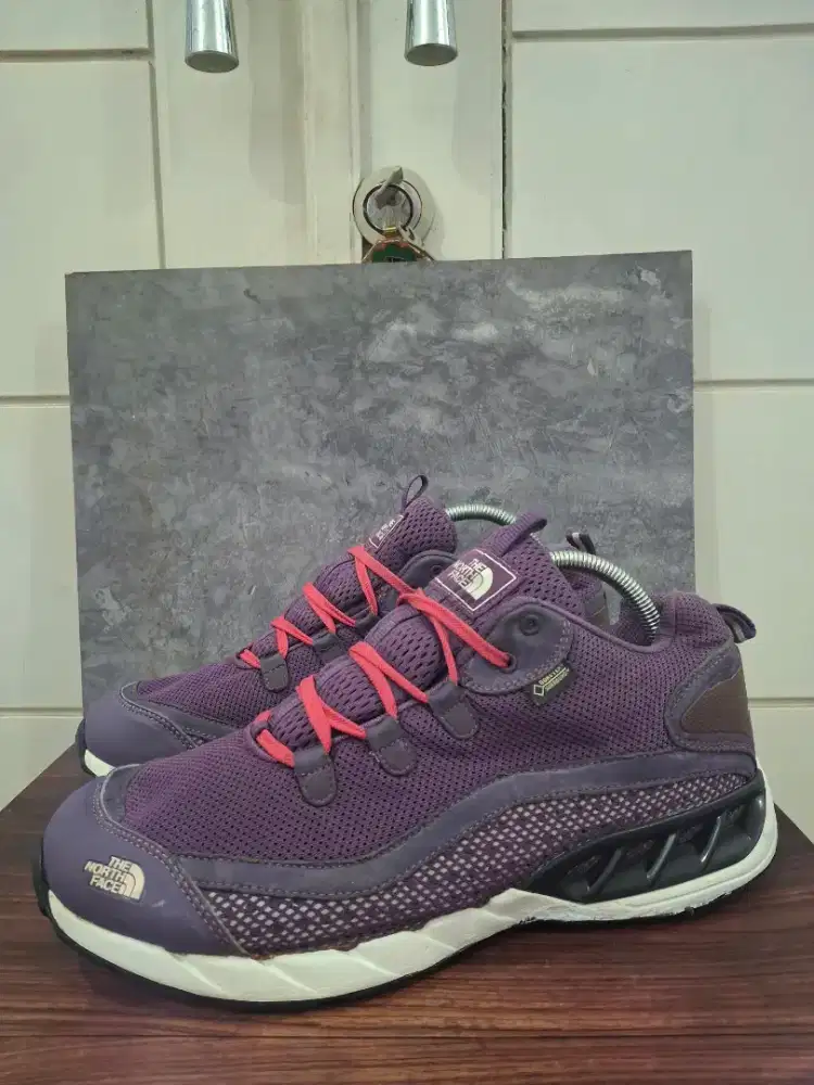 The North Face NSE Gore-tex shoes