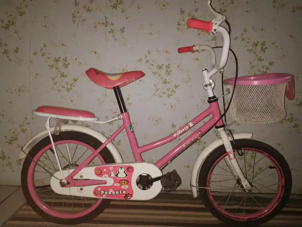 Sepeda Anak Warna Pink
