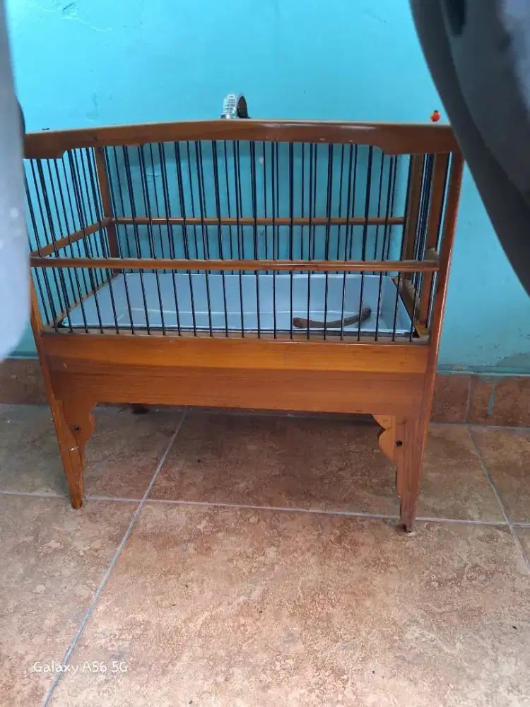 Tempat mandi burung kecil jati