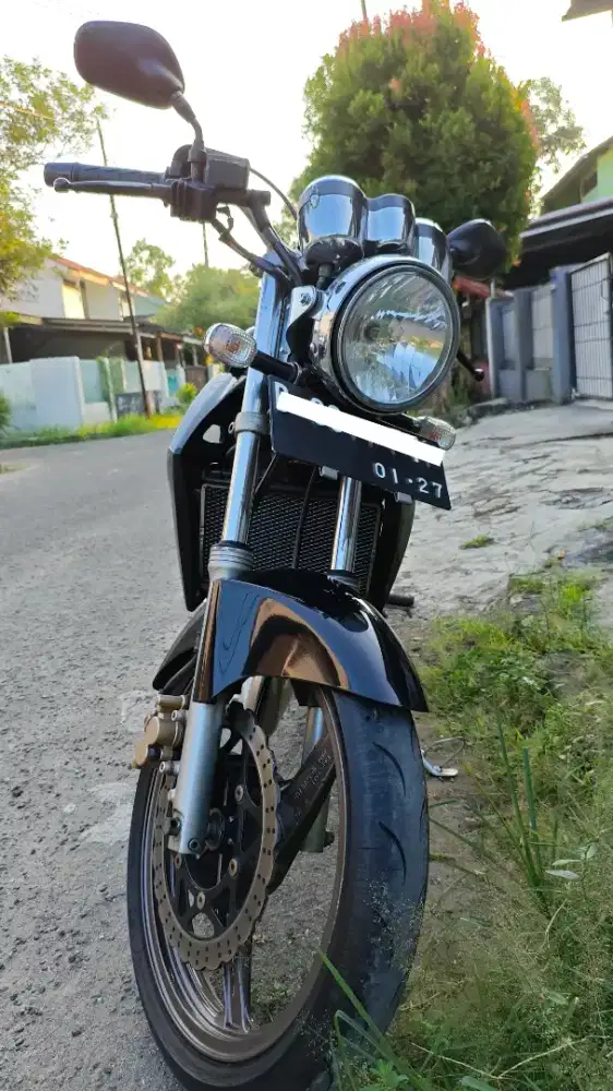 Kawasaki Ninja 150 SS