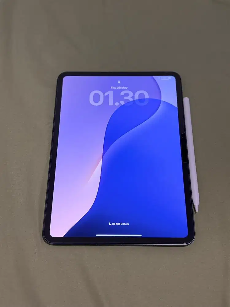 Ipad Pro m4 11 inch 256 Gb
